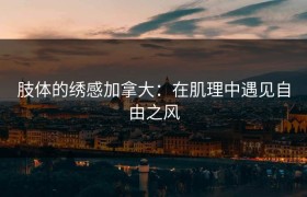 肢体的绣感加拿大：在肌理中遇见自由之风