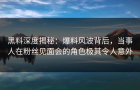 黑料深度揭秘：爆料风波背后，当事人在粉丝见面会的角色极其令人意外