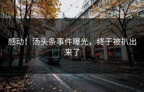 感动！汤头条事件曝光，终于被扒出来了