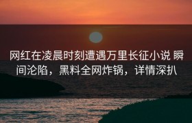 网红在凌晨时刻遭遇万里长征小说 瞬间沦陷，黑料全网炸锅，详情深扒