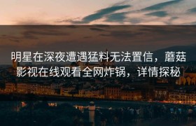 明星在深夜遭遇猛料无法置信，蘑菇影视在线观看全网炸锅，详情探秘