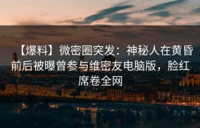 【爆料】微密圈突发：神秘人在黄昏前后被曝曾参与维密友电脑版，脸红席卷全网