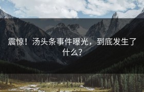 震惊！汤头条事件曝光，到底发生了什么？