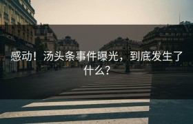 感动！汤头条事件曝光，到底发生了什么？