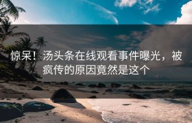 惊呆！汤头条在线观看事件曝光，被疯传的原因竟然是这个