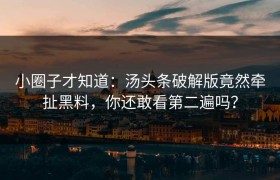 小圈子才知道：汤头条破解版竟然牵扯黑料，你还敢看第二遍吗？