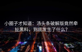 小圈子才知道：汤头条破解版竟然牵扯黑料，到底发生了什么？