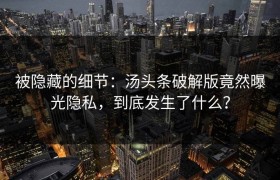 被隐藏的细节：汤头条破解版竟然曝光隐私，到底发生了什么？