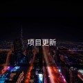 项目更新