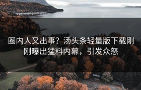 圈内人又出事？汤头条轻量版下载刚刚曝出猛料内幕，引发众怒