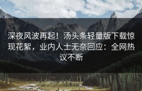 深夜风波再起！汤头条轻量版下载惊现花絮，业内人士无奈回应：全网热议不断