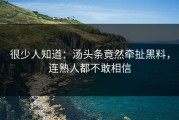 很少人知道：汤头条竟然牵扯黑料，连熟人都不敢相信