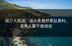 很少人知道：汤头条竟然牵扯黑料，连熟人都不敢相信