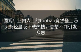 围观！业内人士的toutiao竟然登上汤头条轻量版下载热搜，意想不到引发众怒