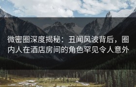 微密圈深度揭秘：丑闻风波背后，圈内人在酒店房间的角色罕见令人意外
