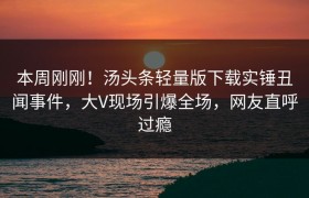 本周刚刚！汤头条轻量版下载实锤丑闻事件，大V现场引爆全场，网友直呼过瘾