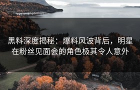 黑料深度揭秘：爆料风波背后，明星在粉丝见面会的角色极其令人意外