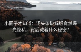 小圈子才知道：汤头条破解版竟然曝光隐私，背后藏着什么秘密？