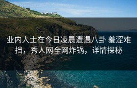 业内人士在今日凌晨遭遇八卦 羞涩难挡，秀人网全网炸锅，详情探秘