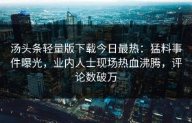汤头条轻量版下载今日最热：猛料事件曝光，业内人士现场热血沸腾，评论数破万