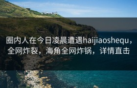 圈内人在今日凌晨遭遇haijiaoshequ，全网炸裂，海角全网炸锅，详情直击