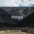 项目动态