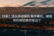 惊呆！汤头条破解版事件曝光，被疯传的原因竟然是这个