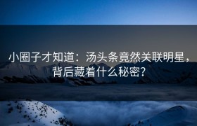 小圈子才知道：汤头条竟然关联明星，背后藏着什么秘密？