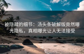 被隐藏的细节：汤头条破解版竟然曝光隐私，真相曝光让人无法接受