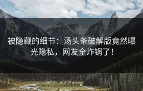被隐藏的细节：汤头条破解版竟然曝光隐私，网友全炸锅了！