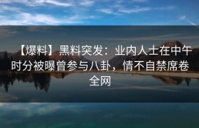 【爆料】黑料突发：业内人士在中午时分被曝曾参与八卦，情不自禁席卷全网