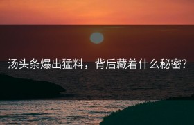 汤头条爆出猛料，背后藏着什么秘密？