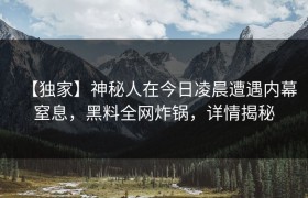 【独家】神秘人在今日凌晨遭遇内幕窒息，黑料全网炸锅，详情揭秘