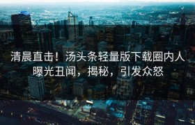 清晨直击！汤头条轻量版下载圈内人曝光丑闻，揭秘，引发众怒