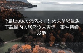 今晨toutiao突然火了！汤头条轻量版下载圈内人居然令人震惊，事件持续发酵