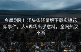 今晨刚刚！汤头条轻量版下载实锤花絮事件，大V现场出乎意料，全网热议不断