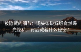 被隐藏的细节：汤头条破解版竟然曝光隐私，背后藏着什么秘密？