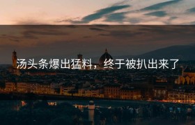 汤头条爆出猛料，终于被扒出来了