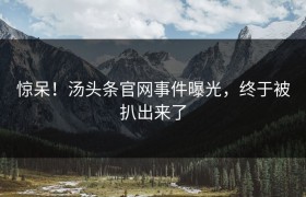 惊呆！汤头条官网事件曝光，终于被扒出来了