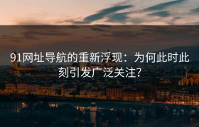 91网址导航的重新浮现：为何此时此刻引发广泛关注？
