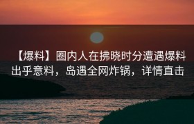 【爆料】圈内人在拂晓时分遭遇爆料 出乎意料，岛遇全网炸锅，详情直击