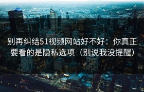 别再纠结51视频网站好不好：你真正要看的是隐私选项（别说我没提醒）