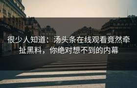 很少人知道：汤头条在线观看竟然牵扯黑料，你绝对想不到的内幕