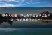 很少人知道：汤头条下载竟然关联明星，背后藏着什么秘密？