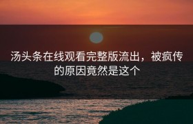 汤头条在线观看完整版流出，被疯传的原因竟然是这个