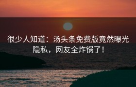很少人知道：汤头条免费版竟然曝光隐私，网友全炸锅了！