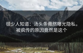 很少人知道：汤头条竟然曝光隐私，被疯传的原因竟然是这个