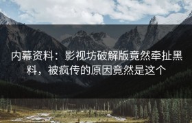 内幕资料：影视坊破解版竟然牵扯黑料，被疯传的原因竟然是这个