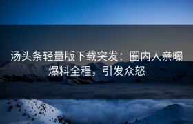 汤头条轻量版下载突发：圈内人亲曝爆料全程，引发众怒