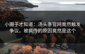 小圈子才知道：汤头条官网竟然触发争议，被疯传的原因竟然是这个
